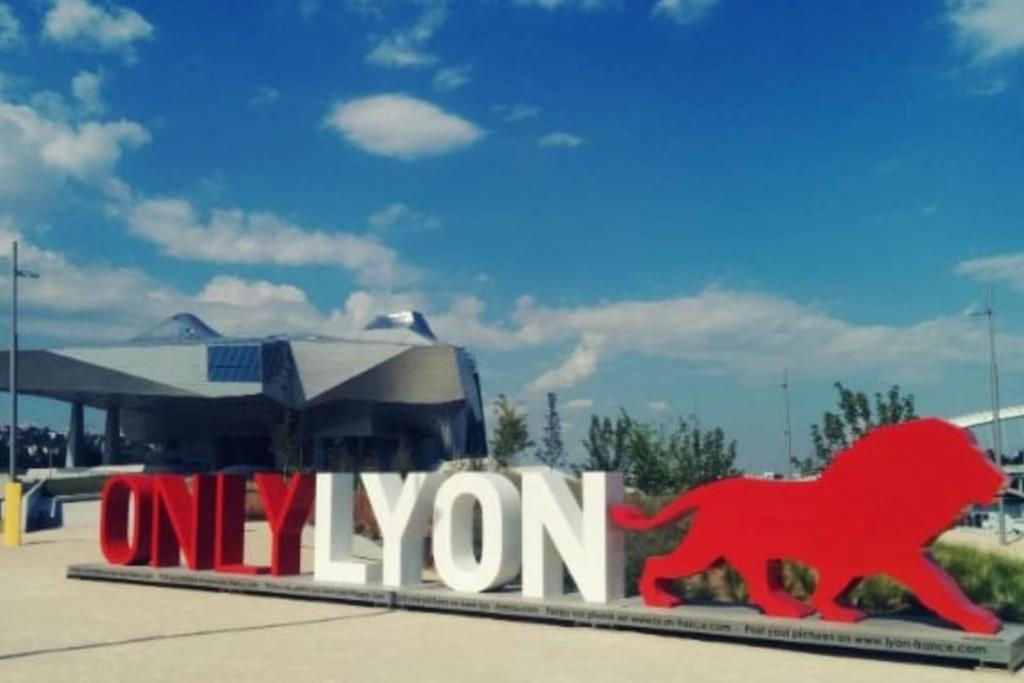 Appartement Dans Peniche Atypique Et Idyllique A Confluence Lyon Exterior foto
